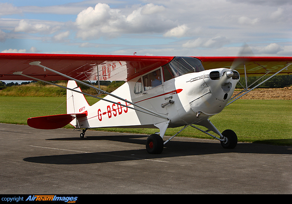 Piper J-4 Cub Coupe (G-BSDJ) Aircraft Pictures & Photos - AirTeamImages.com