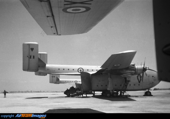 Blackburn B-101 Beverley C1 (XM110) Aircraft Pictures & Photos ...