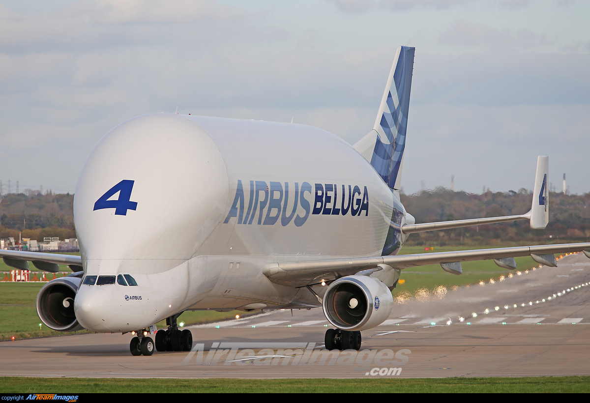 Airbus Beluga - Large Preview - AirTeamImages.com