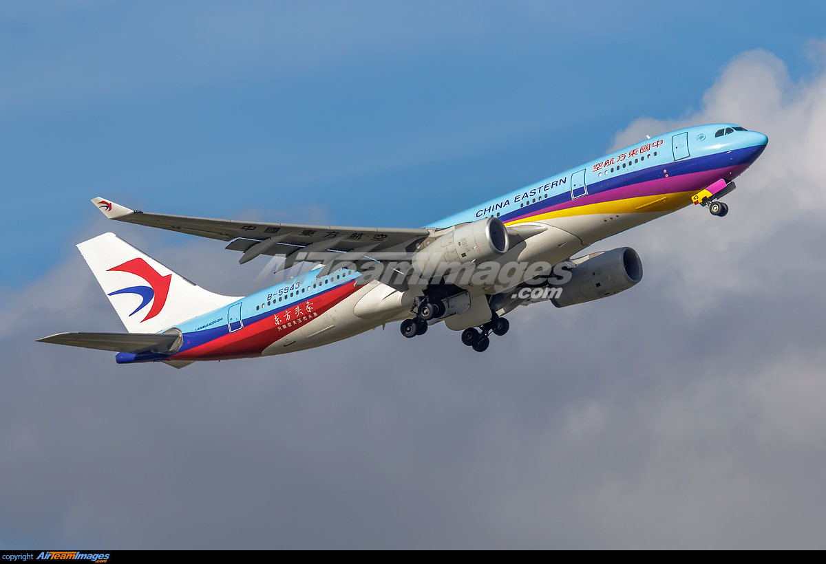 Airbus A330-243 - Large Preview - AirTeamImages.com