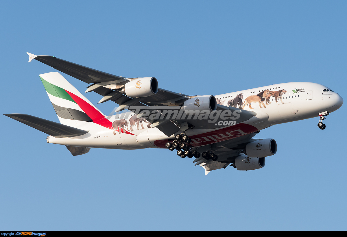 Airbus A380-861 - Large Preview - AirTeamImages.com