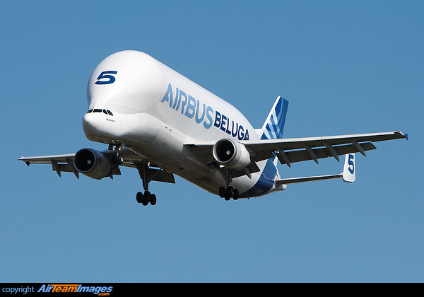 Airbus Beluga (F-GSTF) Aircraft Pictures & Photos - AirTeamImages.com