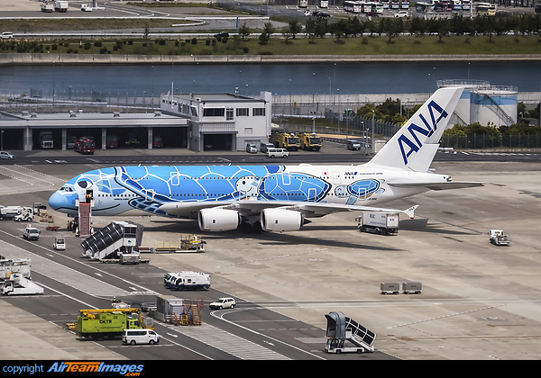 Airbus A380-841 (JA381A) Aircraft Pictures & Photos - AirTeamImages.com