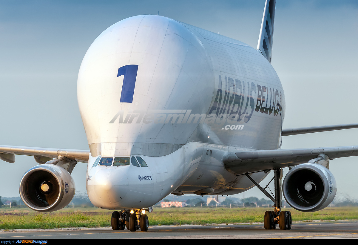 Airbus Beluga - Large Preview - AirTeamImages.com