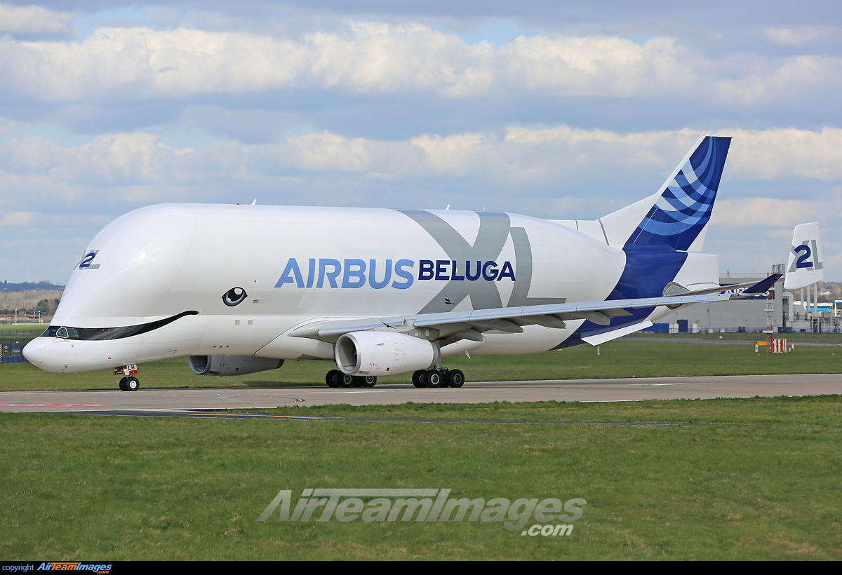 Airbus Beluga XL - Large Preview - AirTeamImages.com