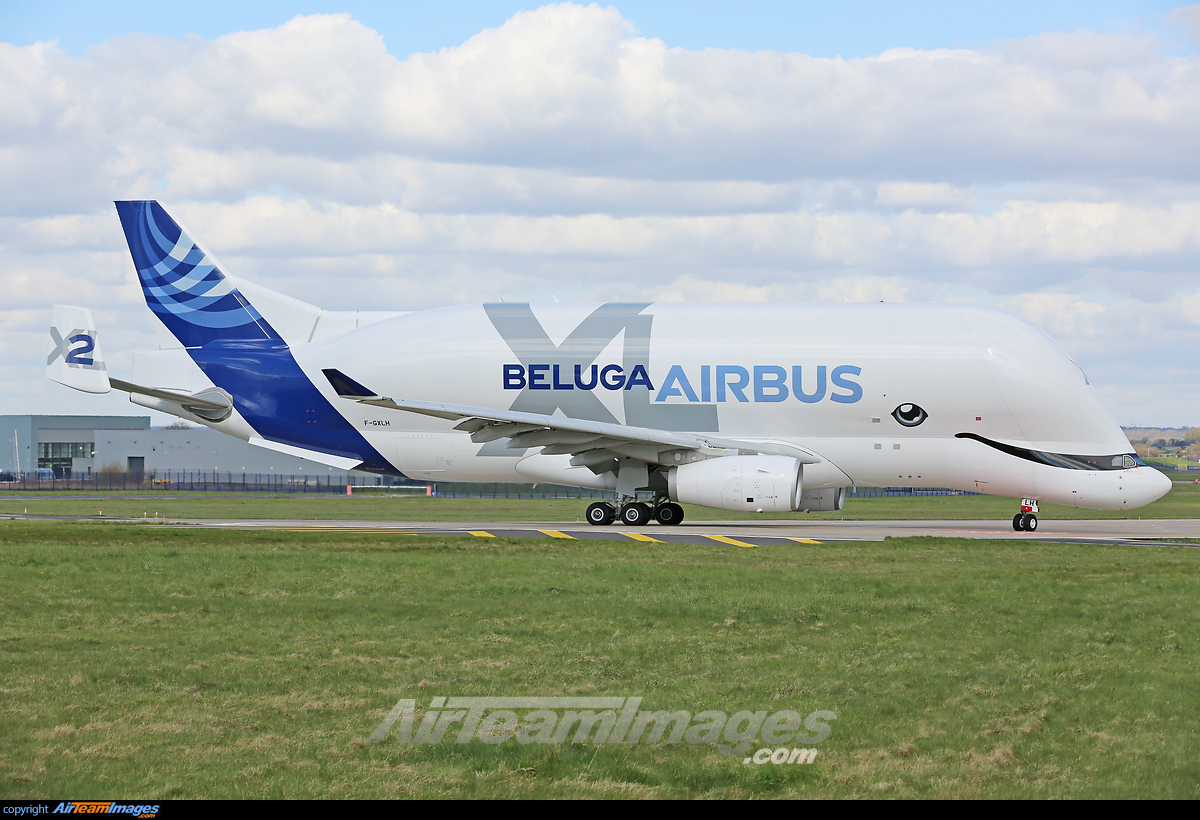 Airbus Beluga XL - Large Preview - AirTeamImages.com