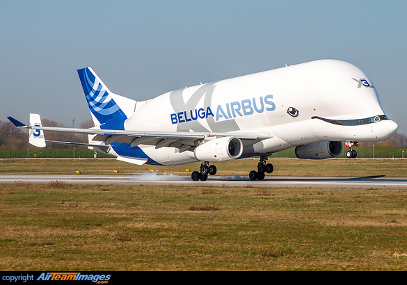 Airbus Beluga XL (F-GXLI) Aircraft Pictures & Photos - AirTeamImages.com