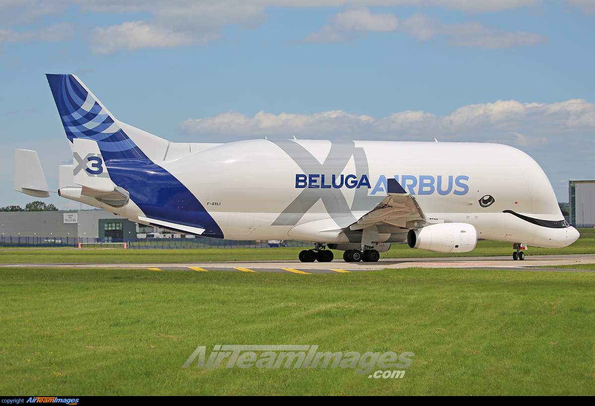 Airbus Beluga XL - Large Preview - AirTeamImages.com