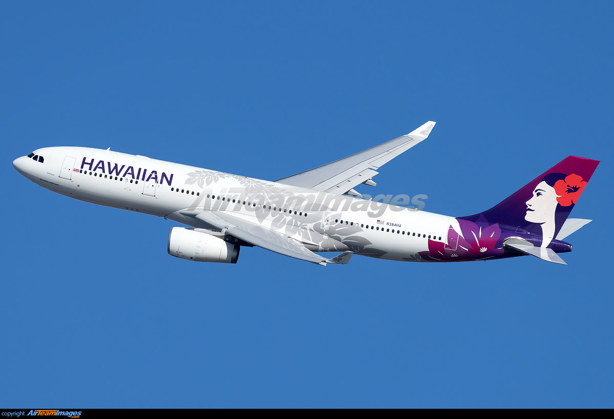 Airbus A330-243 - Large Preview - AirTeamImages.com