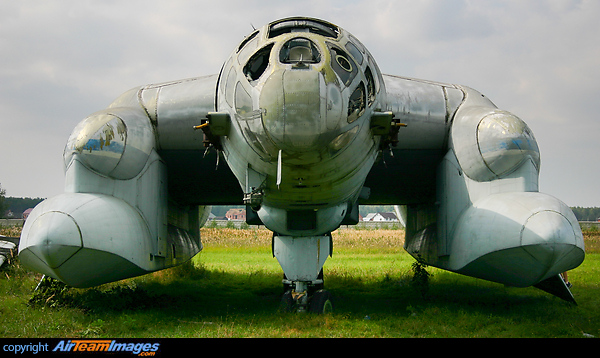 Beriev Bartini Vva-14 (cccp-19172) Aircraft Pictures & Photos 