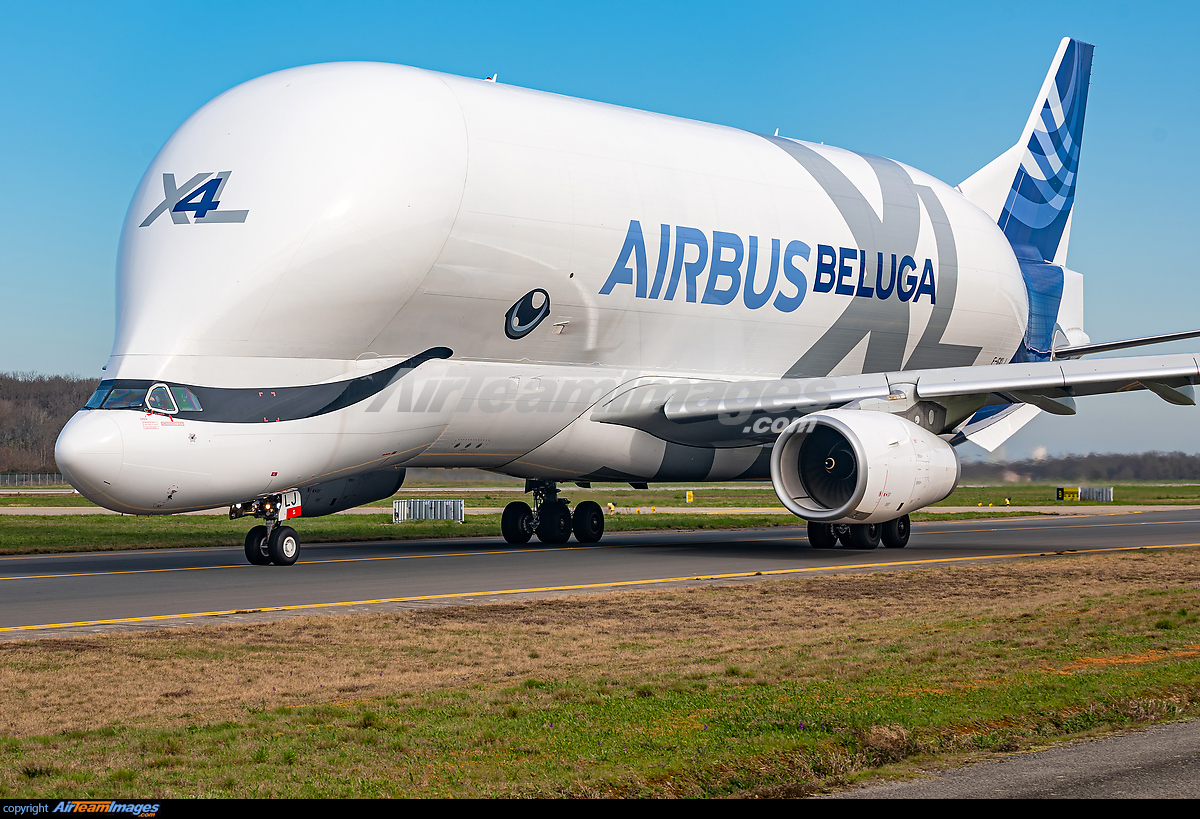 Airbus Beluga XL - Large Preview - AirTeamImages.com