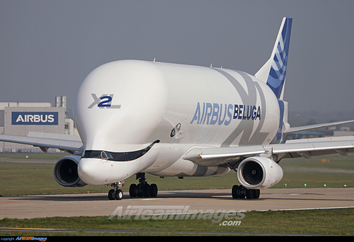 Airbus Beluga Xl - Large Preview - Airteamimages.com