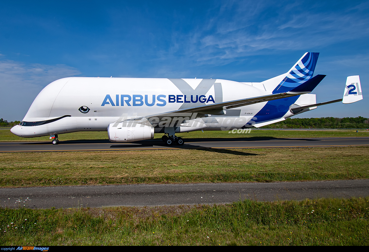 Airbus Beluga XL - Large Preview - AirTeamImages.com