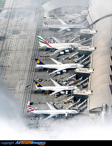 Los Angeles Airport (A7-ANL) Aircraft Pictures & Photos - AirTeamImages.com