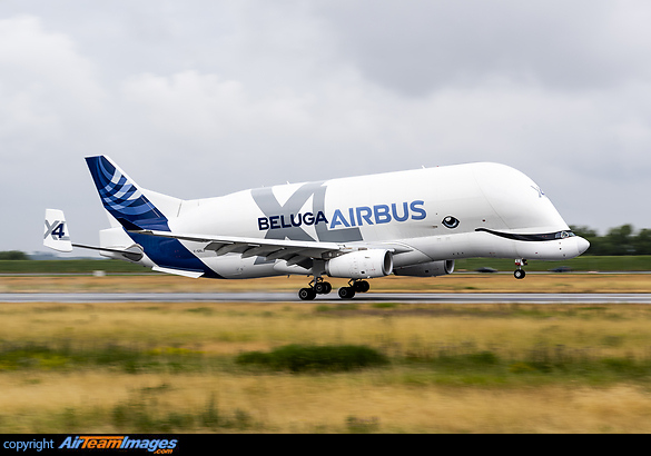 Airbus Beluga XL (F-GXLJ) Aircraft Pictures & Photos - AirTeamImages.com