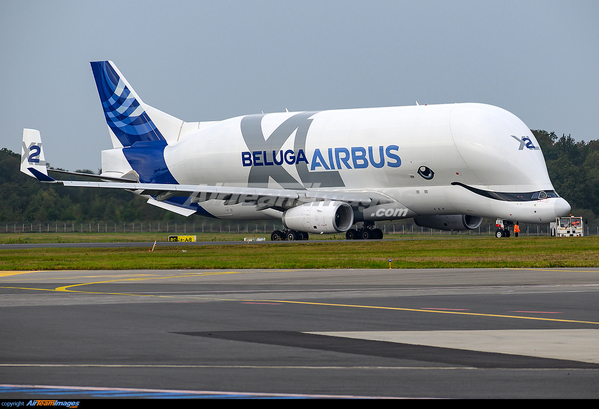 Airbus Beluga XL - Large Preview - AirTeamImages.com