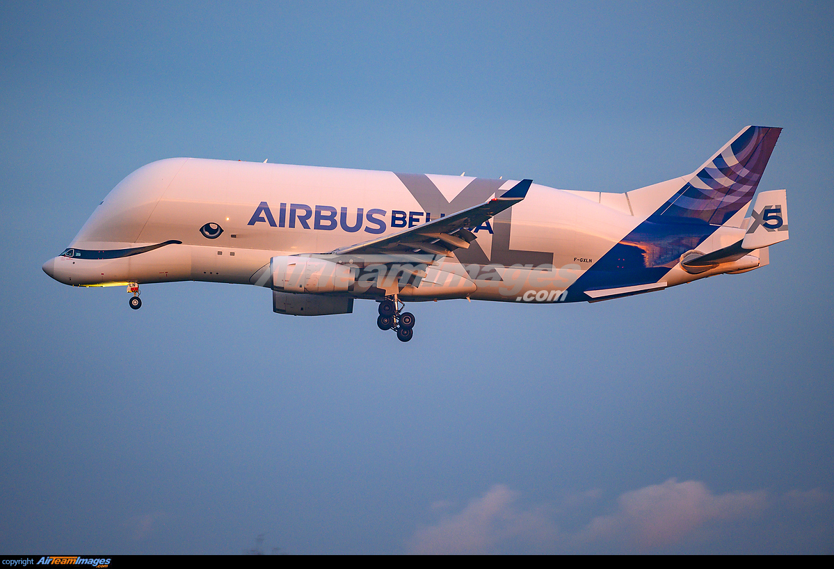 Airbus Beluga Xl - Large Preview - Airteamimages.com