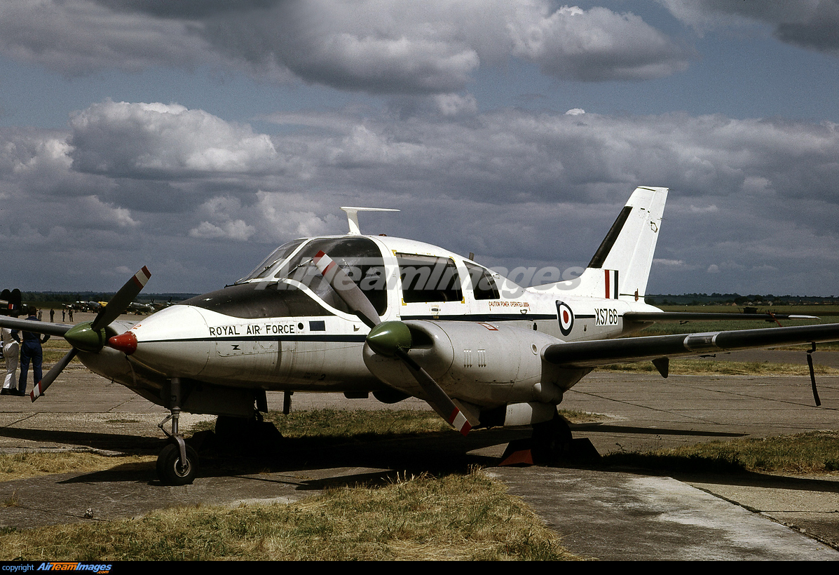 Beagle - B.206 Basset - Large Preview - AirTeamImages.com